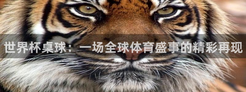 世界杯 直播：世界杯桌球：一场全球体育盛事的精彩再现