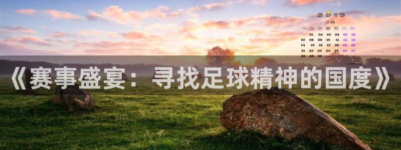 世界杯比赛直播：《赛事盛宴：寻找足球精神的国度》