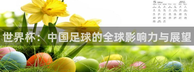 美国世界杯：世界杯：中国足球的全球影响力与展望