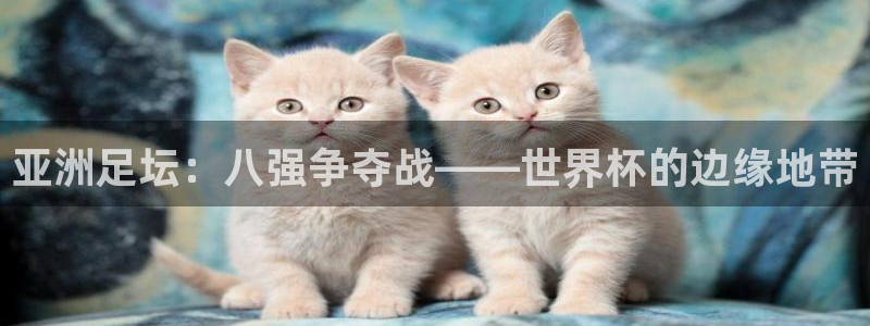 2026世界杯直播免费观看：亚洲足坛：八强争夺战——世界杯的边缘地带