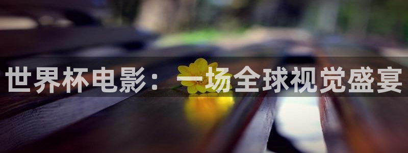 2026世界杯赛制：世界杯电影：一场全球视觉盛宴