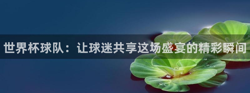足球世界杯：世界杯球队：让球迷共享这场盛宴的精彩瞬间