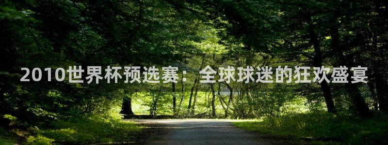 世界杯比赛赛程：2010世界杯预选赛：全球球迷的狂欢盛宴