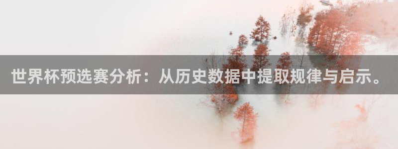 2026世界杯赛制：世界杯预选赛分析：从历史数据中提取规律与启示。
