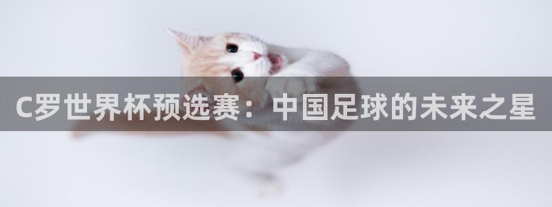 世界杯直播：C罗世界杯预选赛：中国足球的未来之星