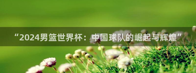 世界杯官网入口：“2024男篮世界杯：中国球队的崛起与辉煌”