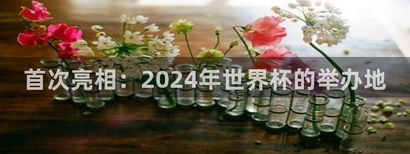 2026年男足世界杯：首次亮相：2024年世界杯的举办地