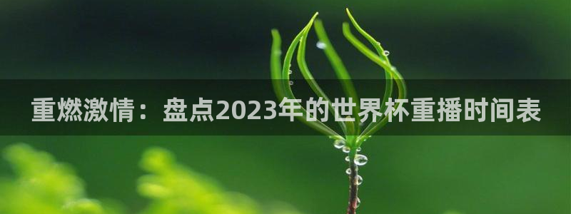 2026世界杯32强对阵图表：重燃激情：盘点2023年的世界杯重播时间表