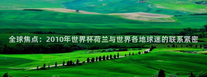 2026世界杯欧洲预选赛赛程表：全球焦点：2010年世界杯荷兰与世界各地球迷的联系紧密