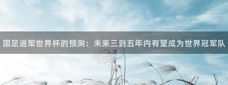 2026世界杯亚洲预选赛：国足进军世界杯的预测：未来三到五年内有望成为世界冠军队