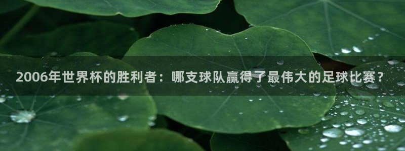 世界杯决赛圈球队：2006年世界杯的胜利者：哪支球队赢得了最伟大的足球比赛？