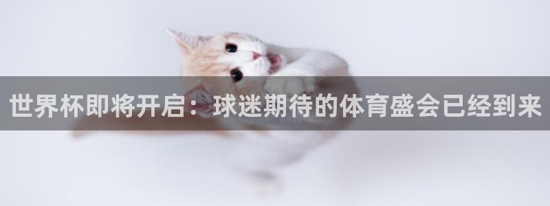 世界杯对阵表：世界杯即将开启：球迷期待的体育盛会已经到来