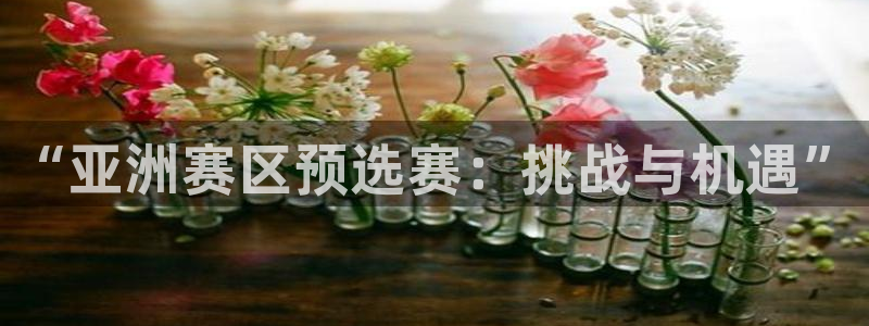 世界杯2026赛制：“亚洲赛区预选赛：挑战与机遇”